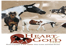Tablet Screenshot of heartofgoldfarm.com